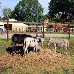 Nahe Winstongolf Schwerin Tatil Evi Wendorf (Kuhlen-Wendorf)
