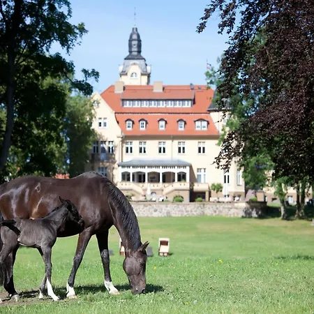Luxurioeses Oliver In Wendorf Im Bernstein Holiday home *