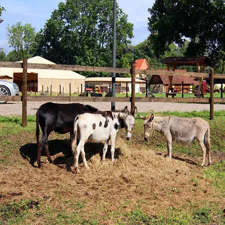 Nahe Winstongolf Schwerin Ferienhaus Wendorf (Kuhlen-Wendorf)
