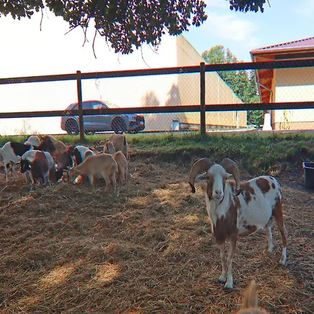 Nahe Winstongolf Schwerin Ferienhaus *