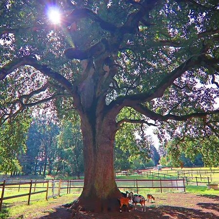 Nahe Winstongolf Schwerin *