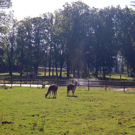 Nahe Winstongolf Schwerin