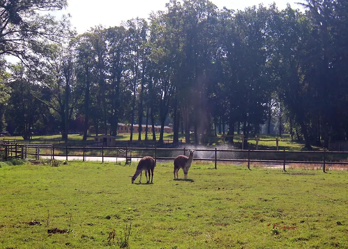 Nahe Winstongolf Schwerin